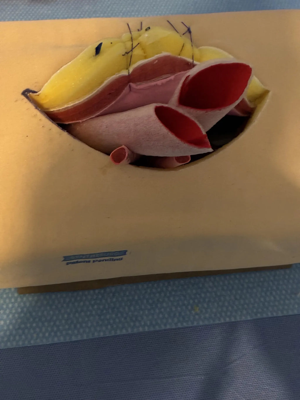 Live Virtual Hands-On Surgical Skills Class — 4 AST CE Credits