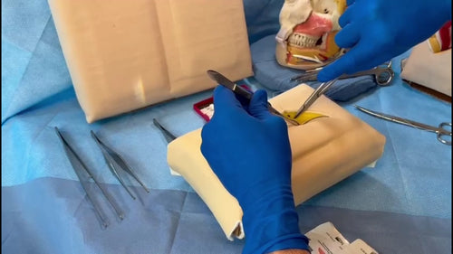 Wound Closure Simulator Standard